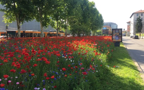 IMG_0142-EFFECTS-scaled